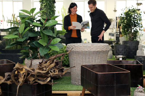 Ausschnitt Showroom Garten