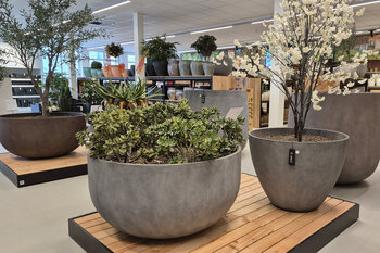 Graue Pflanzgefässe im Showroom Garden