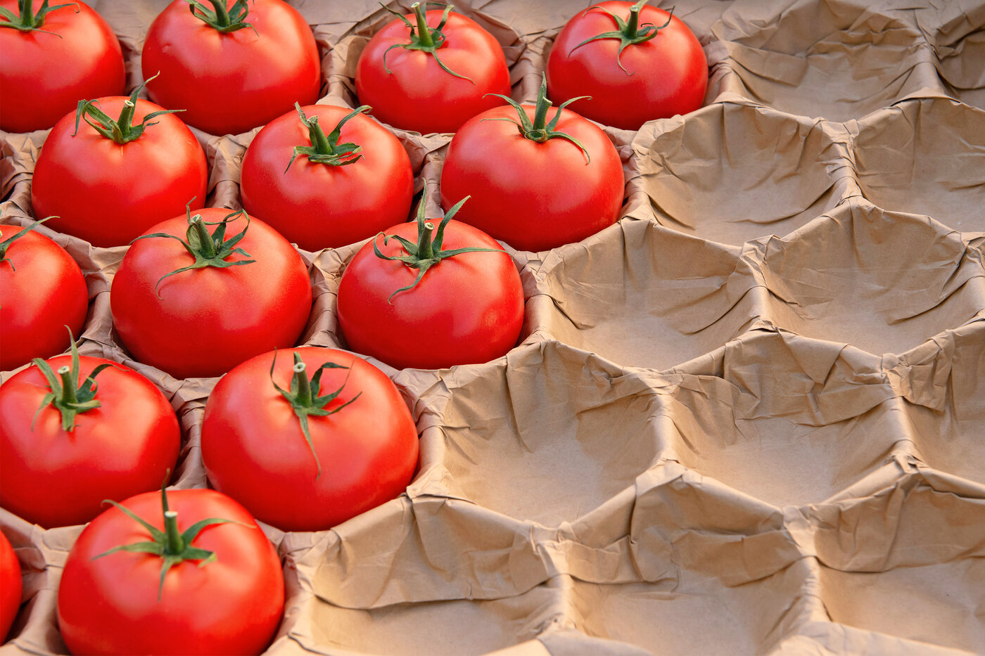 Tomates dans des alvéoles en papier brun, bien maintenues. 