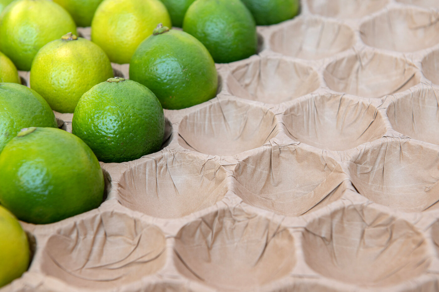 Citrons verts protégés dans des alvéoles en papier. (