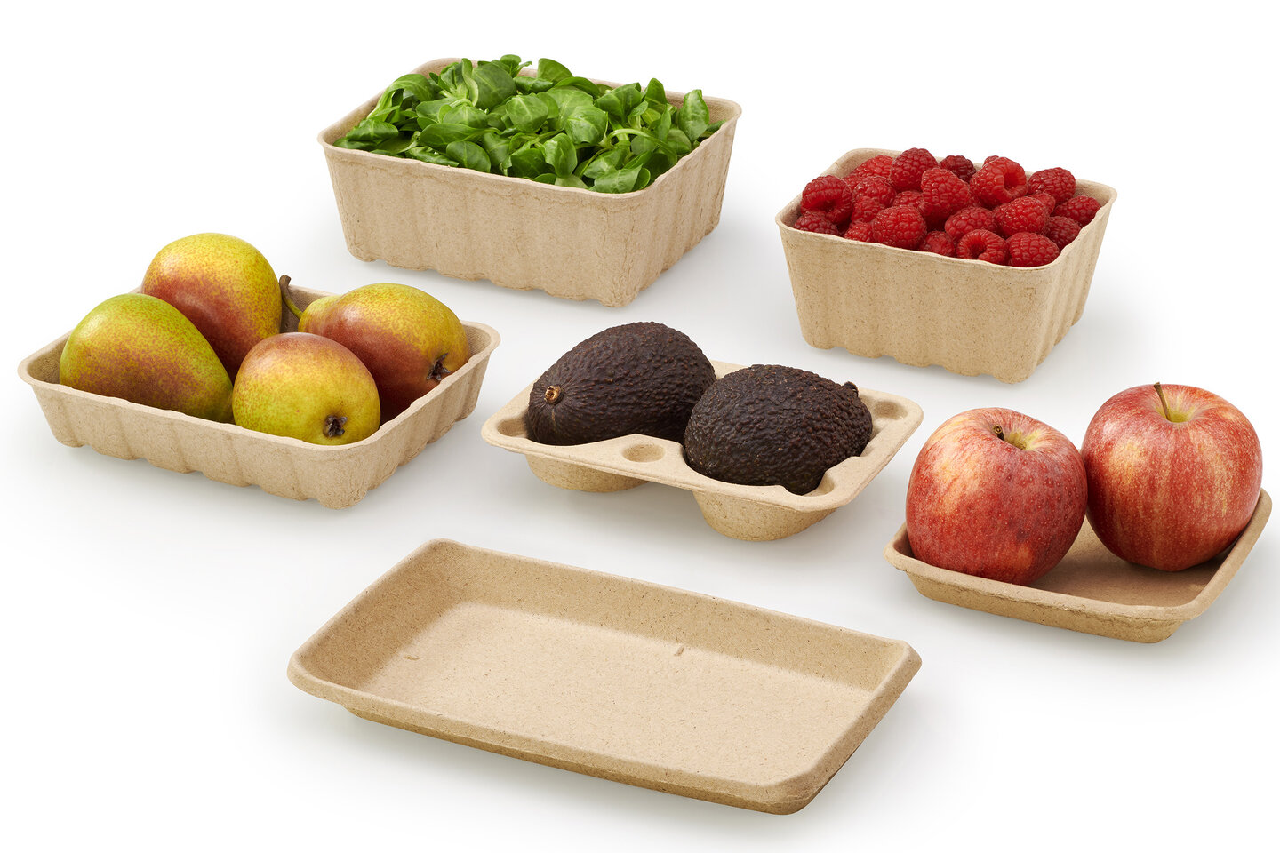Groupe avec des barquettes de paille de riz vides et remplis de fruits et de salade.